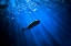Picture of DEEP BLUE