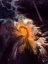 Picture of DEEP SPACE