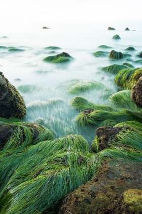 Picture of EL PESCADOR BEACH