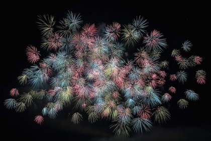 Picture of FIREWORKS