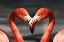 Picture of FLAMINGO LOVE