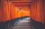 Picture of FUSHIMI INARI SHRINE IN KYOTO