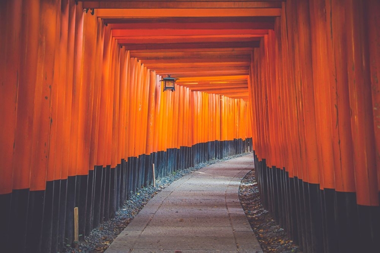 Picture of FUSHIMI INARI SHRINE IN KYOTO