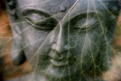 Picture of GREEN BUDDHA STATUE CLOSEUP