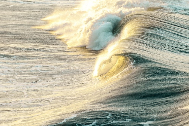 Picture of HUNTINGTON BEACH, CALIFORNIA