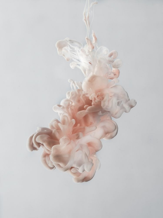 Picture of INK IN WATER