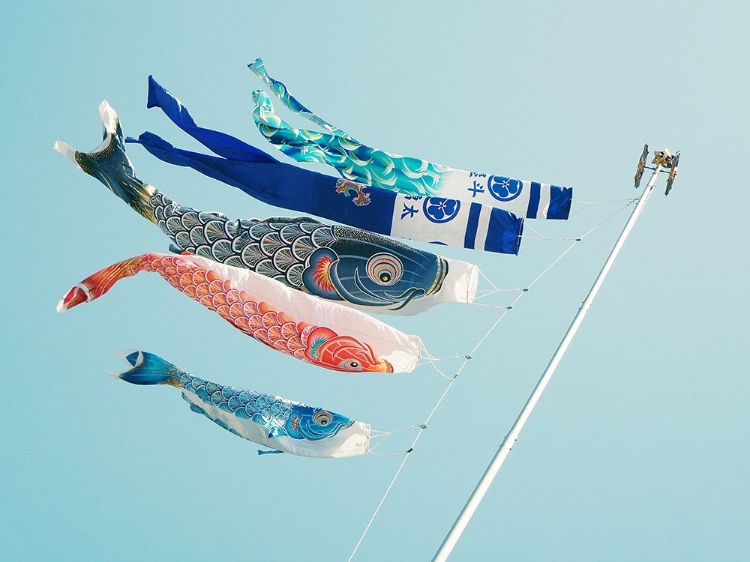 Picture of KOINOBORI, JAPANESE CARP KITES