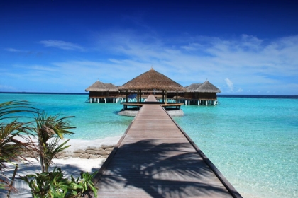 Picture of MALDIVES ISLAND