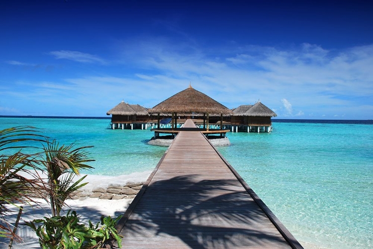 Picture of MALDIVES ISLAND