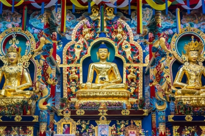 Picture of NAMDROLING MONASTERY GOLDEN TEMPLE