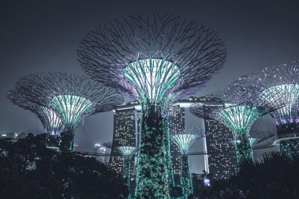 Picture of NIGHT SHOW SUPERTREE GROVE IN SINGAPORE