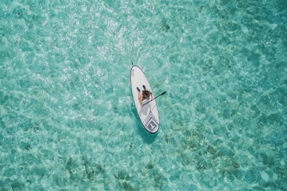 Picture of PADDLEBOARDING FREEDOM