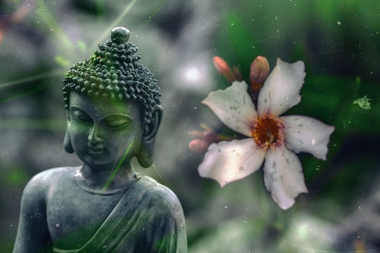 Picture of PEACEFUL BUDDHA STATUE WITH FLOWER