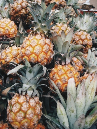 Picture of PINEAPPLES