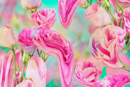 Picture of PSYCHEDELIC PINK ROSES
