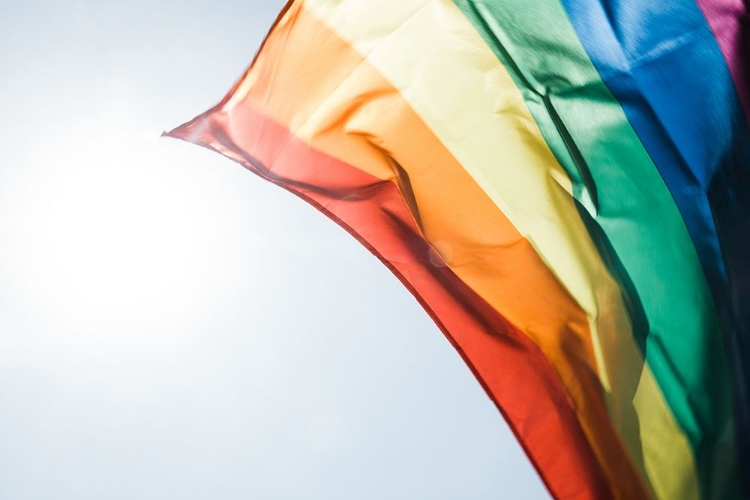 Picture of RAINBOW PRIDE FLAG