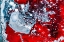 Picture of RED CHAOS