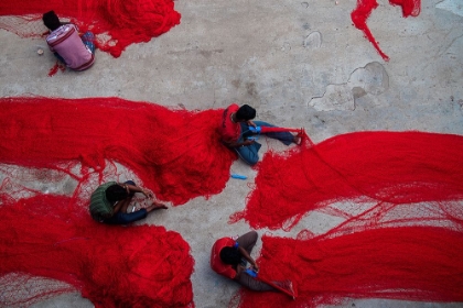 Picture of RED NETS IN CHENNAI