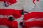 Picture of RED NETS IN CHENNAI