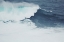 Picture of RIDING THE SURF II