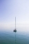 Picture of SAILBOAT ON LAUSANNE