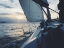 Picture of SAILING NEW ZEALAND WATERS