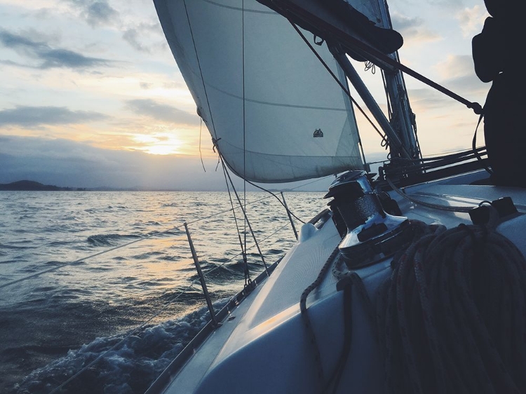 Picture of SAILING NEW ZEALAND WATERS