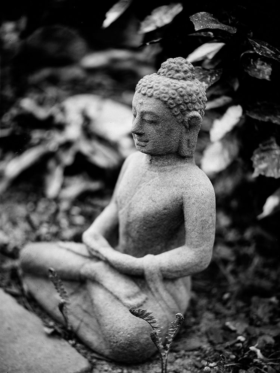 Picture of SEATED BUDDHA STATUE IN BLACK AND WHITE WITH LEAVES