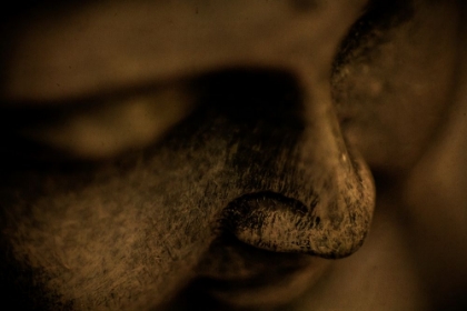 Picture of SEPIA BUDDHA STATUE CLOSEUP