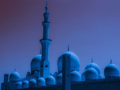 Picture of SHEIKH ZAYED GRAND MOSQUE