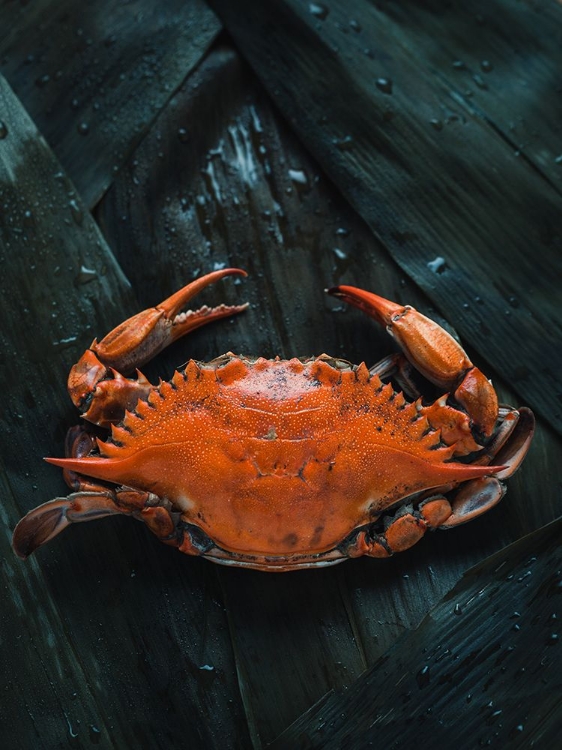 Picture of SOFT SHELL CRAB