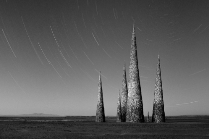 Picture of SUBTERRAFUGE SPIRES AT AFRIKABURN