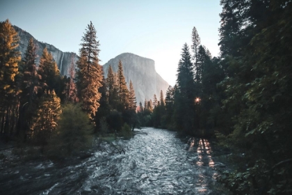 Picture of SUNRISE AT YOSEMITE VALLEY, USA