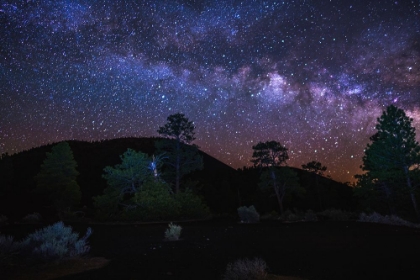 Picture of SUNSET CRATER VOLCANO, LAVA FLOW TRAIL