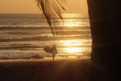 Picture of SUNSET SURFER