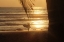 Picture of SUNSET SURFER