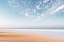 Picture of THE LONG BEACH