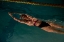 Picture of THE SWIMMER