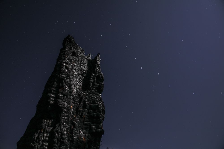 Picture of WORMS EYE VIEW OF BLACK ROCK