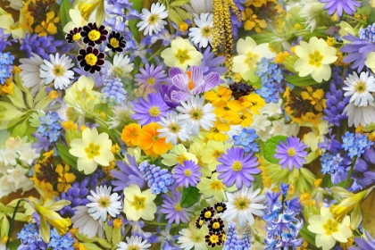 Picture of YELLOW AND PURPLE FLOWERS