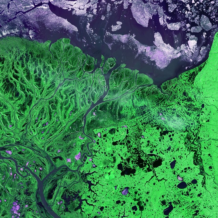 Picture of YUKON KUSKOKWIM RIVER SATELLITE VIEW