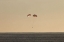 Picture of CRS–10 DRAGON 2017