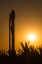 Picture of FALCON 9 AND JCSAT–14 2015