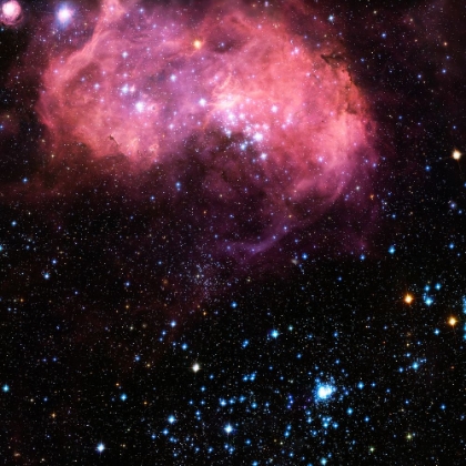 Picture of LARGE PINK MAGELLANIC CLOUD