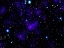 Picture of SPITZER SPACE TELESCOPE IMAGE