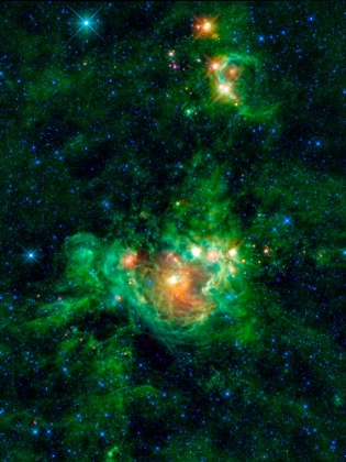 Picture of THE NEBULA NGC