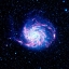 Picture of THE PINWHEEL GALAXY