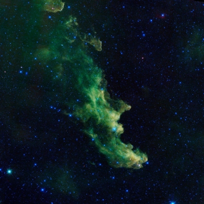Picture of THE WITCH HEAD NEBULA