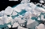 Picture of ARCTIC OCEAN ICE FLOW