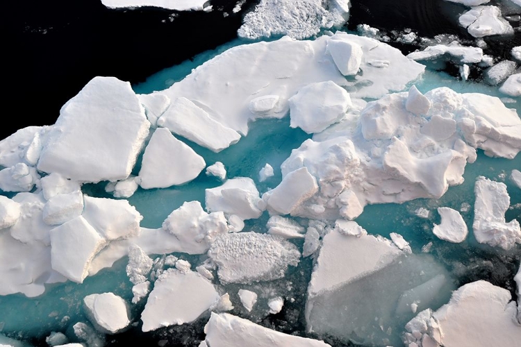 Picture of ARCTIC OCEAN ICE FLOW